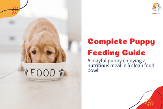 A puppy eating from a bowl filled with nutritious food-LUMINA