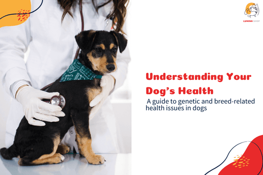 Tips for managing breed-specific dog health issues like hip dysplasia, skin infections, and anxiety. Discover solutions for a happy, healthy pet.-LUMINA