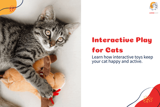 Engaging toys for cats, including puzzles, treat dispensers, and activity toys to keep your feline entertained, happy, and active._LUMINA