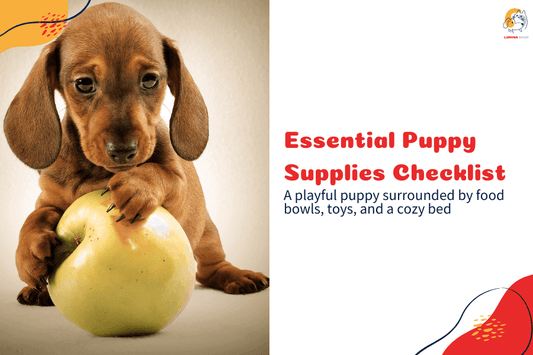 What Are the Essentials for Bringing a Puppy Home?