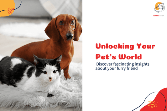 Happy dog and cat relaxing together - Expert tips for pet care, health, and training