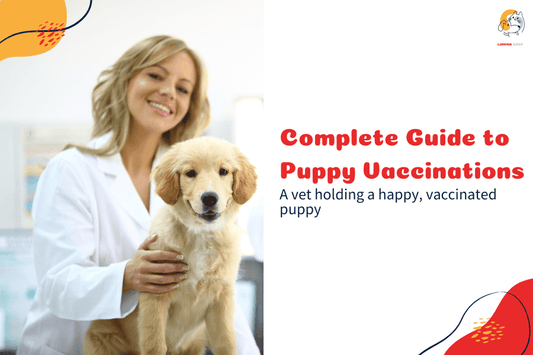 A veterinarian giving a puppy a vaccination to ensure its long-term health-LUMINA