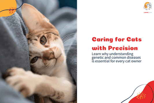 Common and genetic cat diseases, including kidney issues, feline leukemia, and UTIs, with tips and solutions for maintaining your cat’s health.-LUMINA
