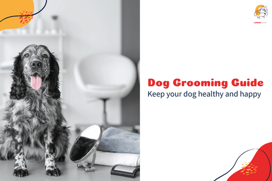 A happy dog enjoying a grooming session with a brush and nail clipper nearby-LUMINA