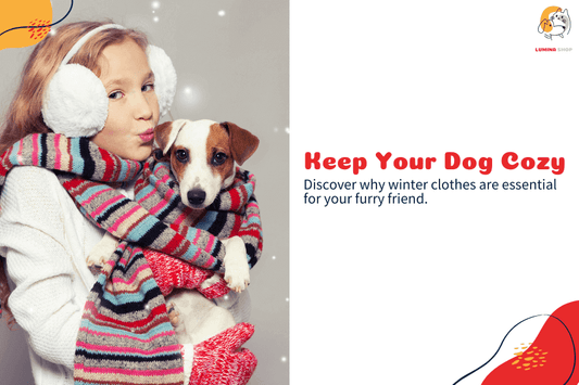 Winter clothing tips for dogs, including warm jackets, sweaters, and coats to keep your pet cozy and comfortable in cold weather-LUMINA