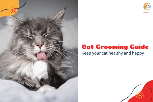 A fluffy cat being brushed, showing the importance of regular grooming-LUMINA