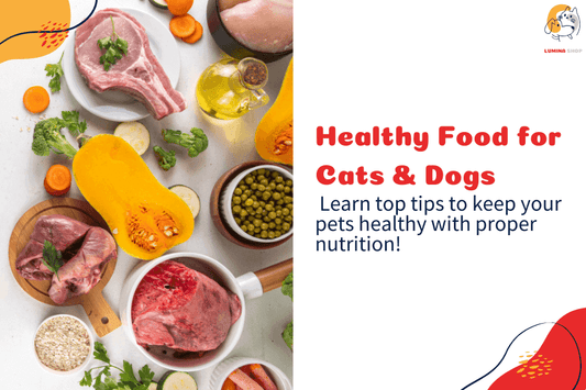 Healthy food options for cats and dogs, featuring balanced meals and natural ingredients to support pet nutrition and overall well-being.- LUMINA