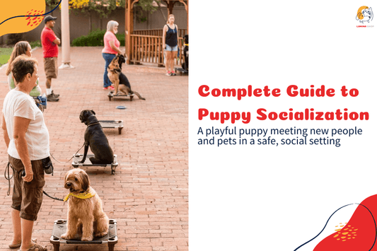 A playful puppy interacting with new people and dogs in a safe setting-LUMINA