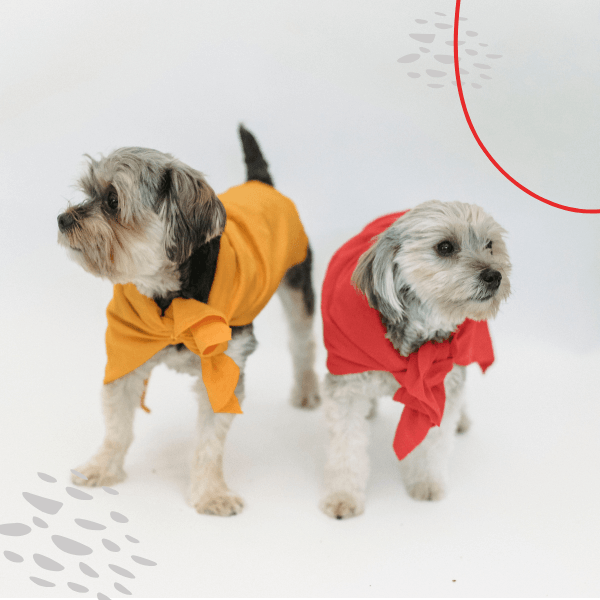 dog hoodie dog dress dog outfit dog wear
