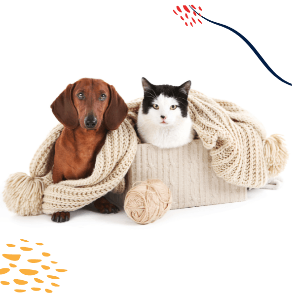 pet winter wear dog hoodie cat hoodie pet coat cat rainy coat dog winter wear cat winter wear