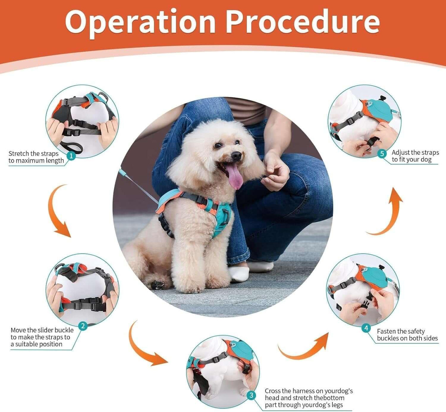 "2-in-1 Dog Harness with Retractable Leash - Perfect dog harness and dog leash combo, lightweight and breathable no-pull design, ideal for pet travel accessories and everyday dog accessories for secure walks and outdoor adventures."- LUMINA