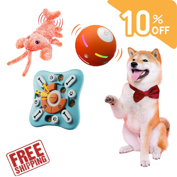 Dog Trendy Toys Package