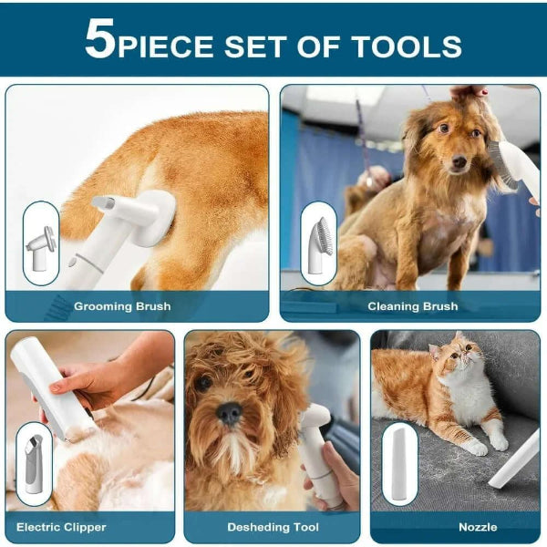 Pet grooming vacuum cleaner kit designed for effective pet hair removal and deshedding. Includes silent grooming tools for pet hygiene and cleaning. Perfect for maintaining pet grooming and care essentials with easy-to-use pet hair vacuum. Ideal for pet owners seeking efficient pet grooming and cleaning supplies.- LUMINA