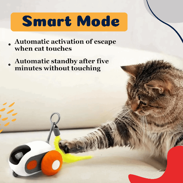 Interactive Smart Cat Toy Car with motion-activated lights, durable design, and rechargeable features, perfect for keeping indoor cats entertained and active. - LUMINA