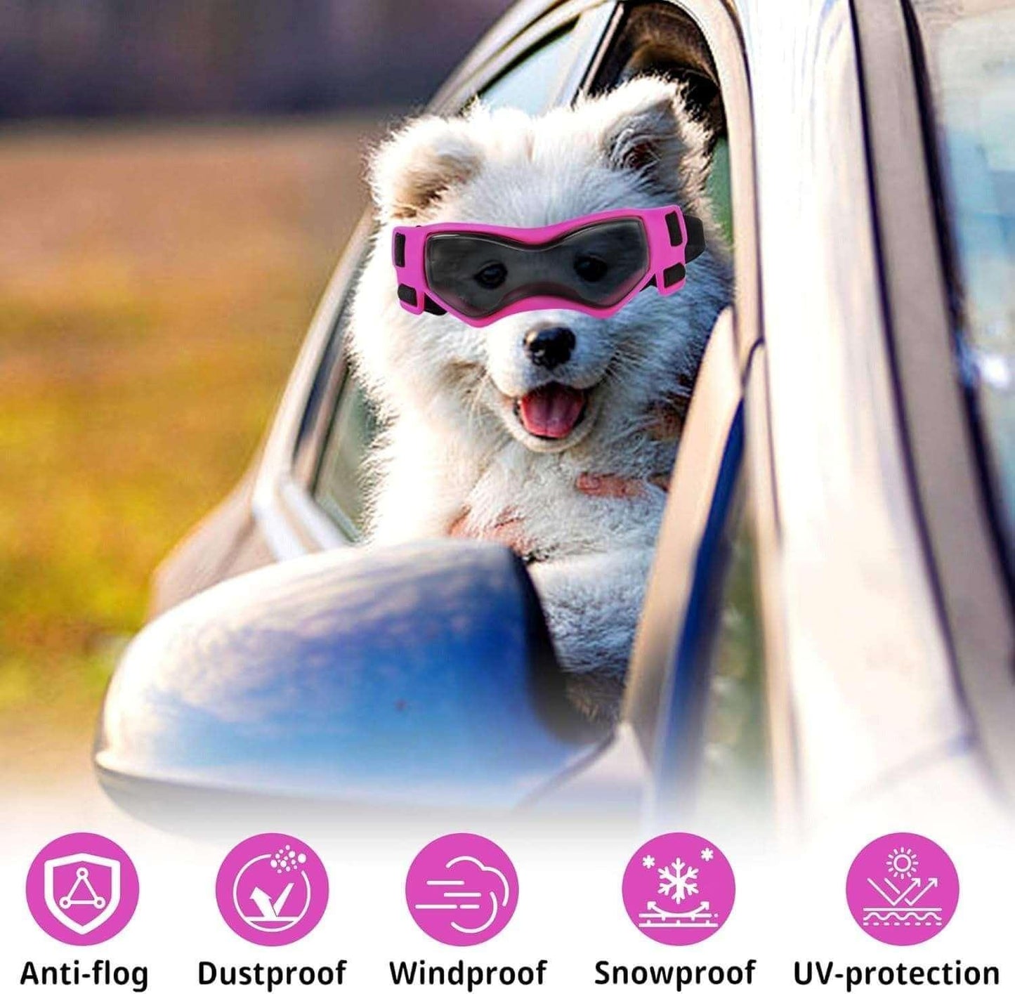 Small breed dog goggles for UV protection, stylish pet eyewear for outdoor activities, dog accessories for pet care and travel- LUMINA