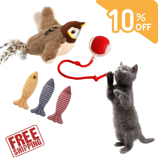 Cat Trendy Toys Package