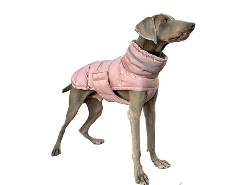 A stylish and adjustable waterproof dog coat for small, medium, and large dogs, providing rain and wind protection with reflective detailing for safety.- LUMINA