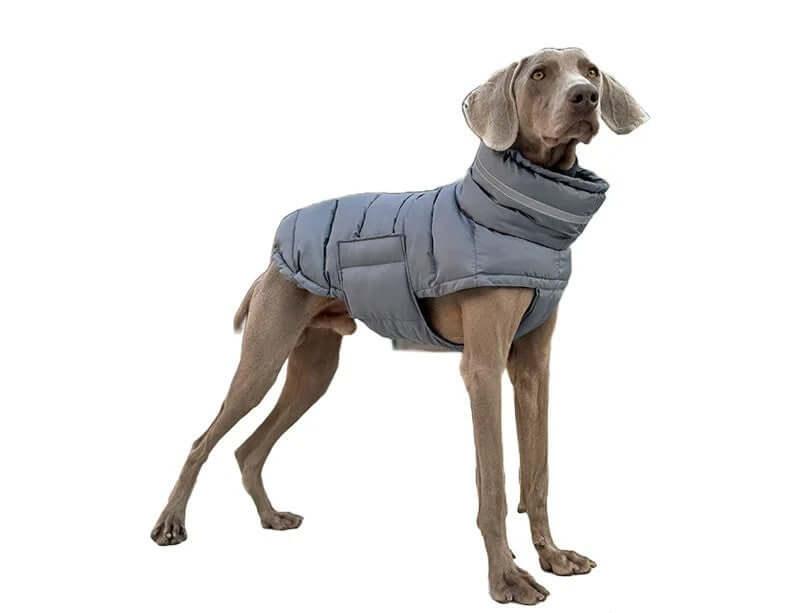 A stylish and adjustable waterproof dog coat for small, medium, and large dogs, providing rain and wind protection with reflective detailing for safety.- LUMINA