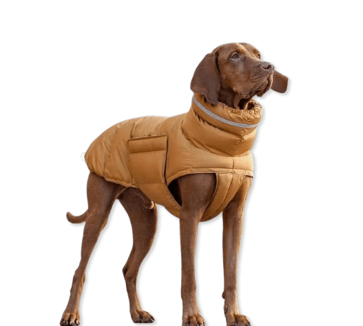 A stylish and adjustable waterproof dog coat for small, medium, and large dogs, providing rain and wind protection with reflective detailing for safety.- LUMINA