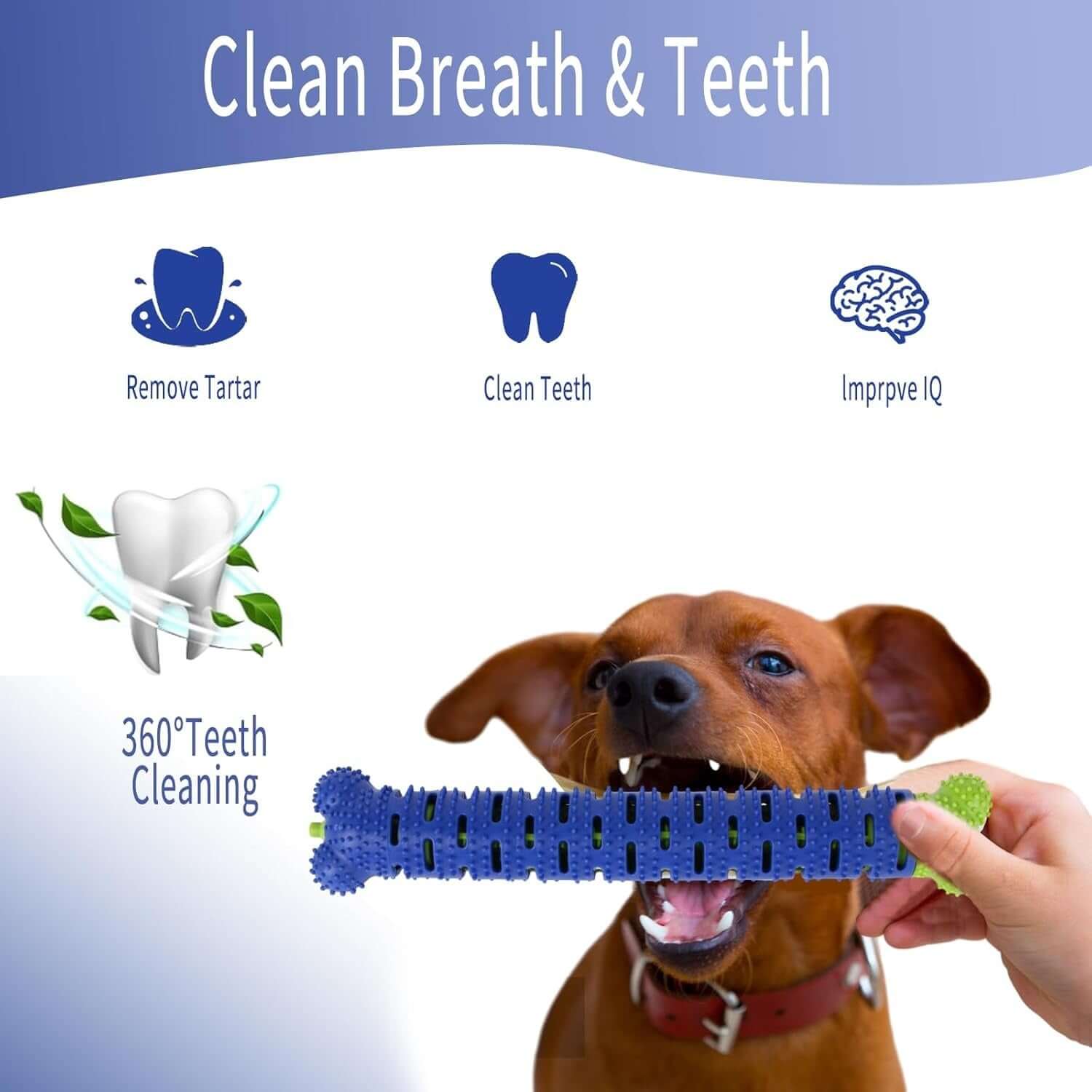 Silicone Dog Toothbrush Stick - LUMINA