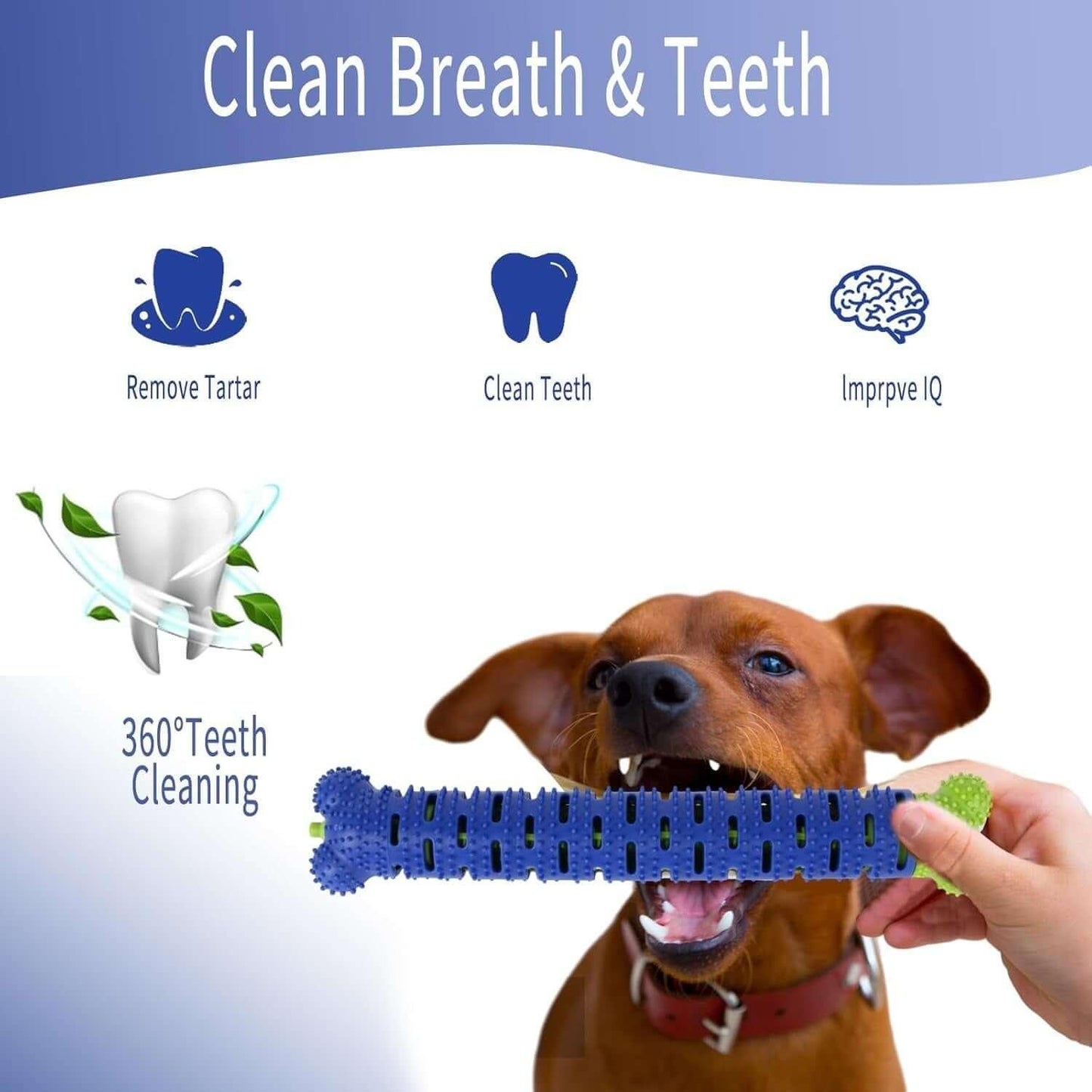 Silicone Dog Toothbrush Stick -Silicone Dog Toothbrush Toy for dental care, hygiene, and grooming of pets. Interactive chew toy designed to clean and maintain oral health for dogs. Made of durable silicone, perfect for promoting dental hygiene and providing engaging playtime- LUMINA