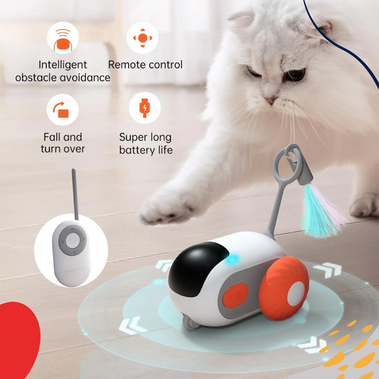 Smart Cat Toy Car - LUMINA