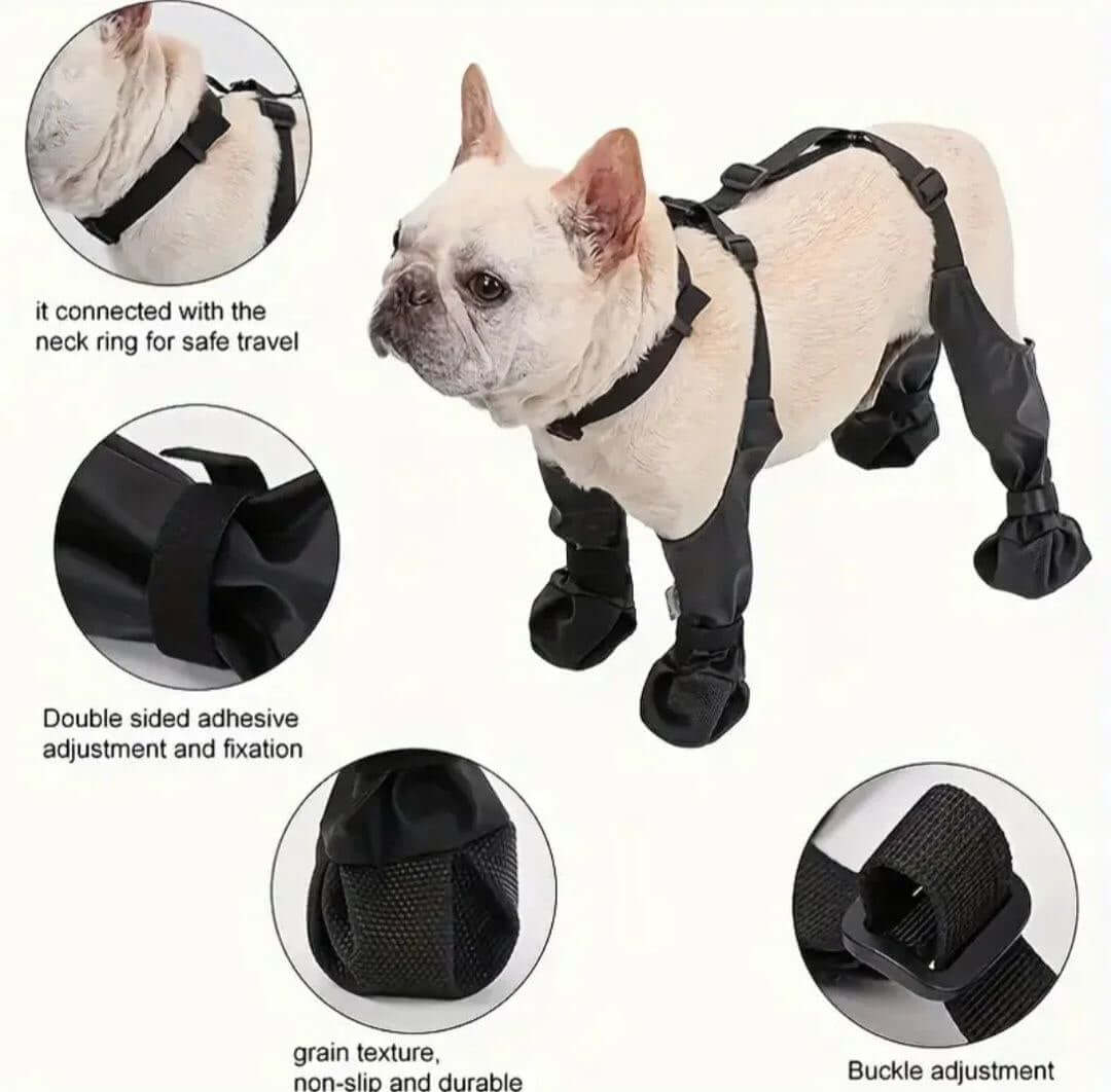 Waterproof Dog Boots - LUMINA