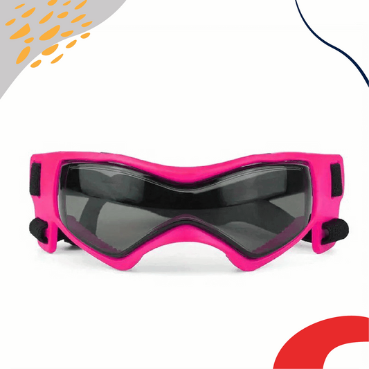 Small breed dog goggles for UV protection, stylish pet eyewear for outdoor activities, dog accessories for pet care and travel- LUMINA