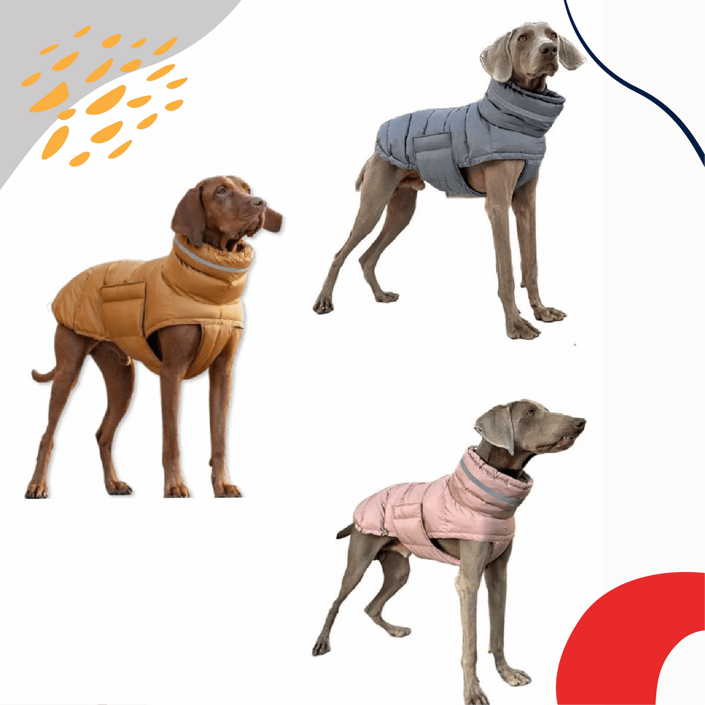 A stylish and adjustable waterproof dog coat for small, medium, and large dogs, providing rain and wind protection with reflective detailing for safety.- LUMINA