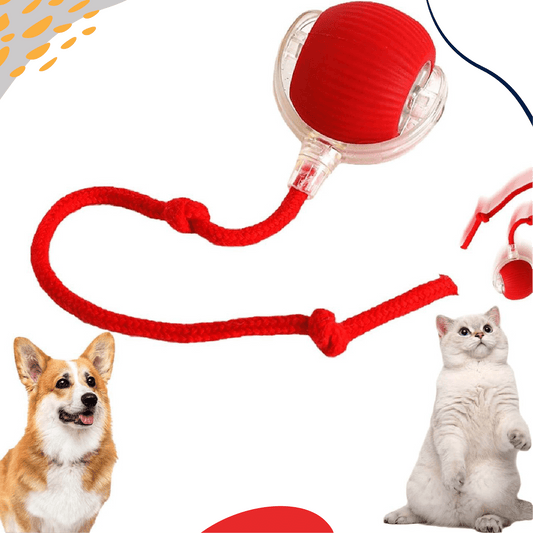 Interactive pet ball toy+Festive Knot Dog Toys - LUMINA