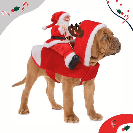 Santa Claus Dog Costume - LUMINA